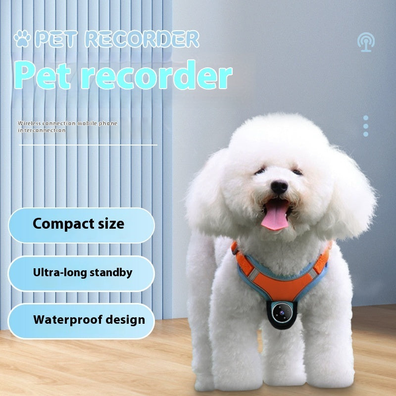 Pets Recorder Pet Tracker Collar Dogs